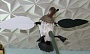 Механическое чучело утки машущей крыльями "TEAL" Mojo (чирок)